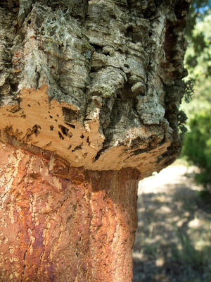 Kork Yogablock Leopard