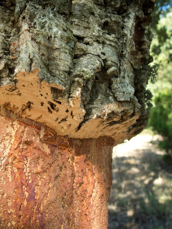 Kork Yogablock Leopard